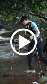 BIB:  <button type="button" onclick="openModal(27239667)" class="btn btn-primary btn-sm float-right" data-toggle="modal" data-target=".modal-high-quality">
                <i class="fa fa-download"></i> Download
                </button>